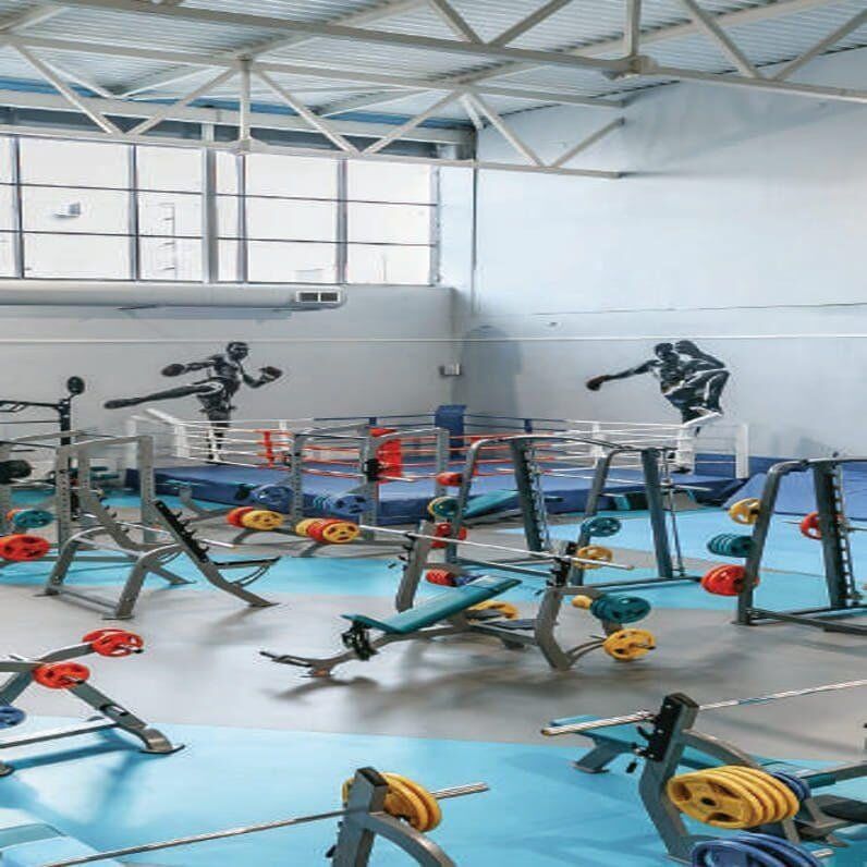 OMNISPORTS-V50.jpg